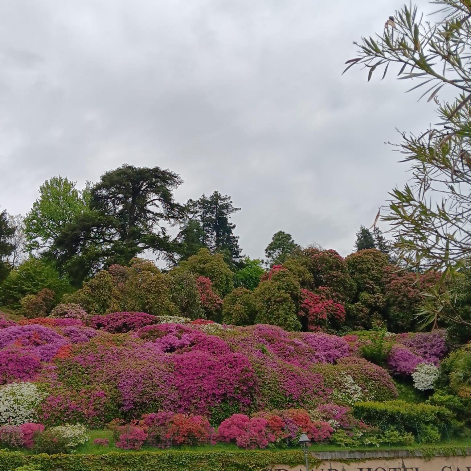 La Casa Al Lago Bmor Love&Lake 梅泽格拉 外观 照片